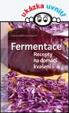 Fermentace - Recepty na domácí kvašení