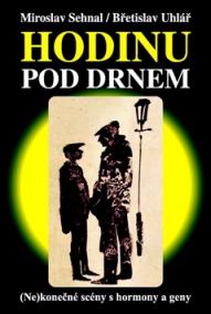 Hodinu pod drnem