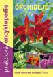 Orchideje - Praktická encyklopedie - téměř 600 druhů orchidejí - 5.vydání