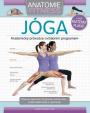 Jóga - Anatomie fitness