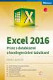 Excel 2016 - Práce s databázemi a kontingenčními tabulkami