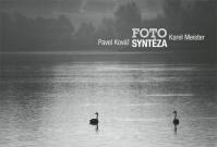 Fotosyntéza