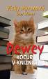 Dewey - Kocúr v knižnici