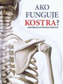 Ako funguje kostra ?