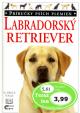 Labradorský retriever