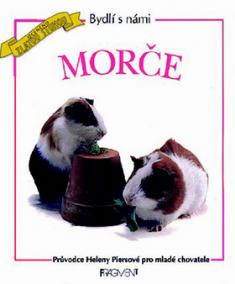 Morče