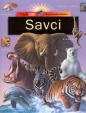 Savci