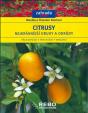 Citrusy