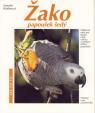 Žako papoušek šedý - Jak na to