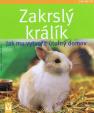 Zakrslý králík – Jak mu vytvořit útulný domov