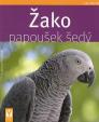 Žako – papoušek šedý