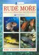 Rudé moře-určovací příručka pro potápěče