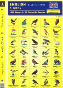 English - Find the Pair 1. Birds