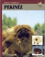 Pekinéz /čes/