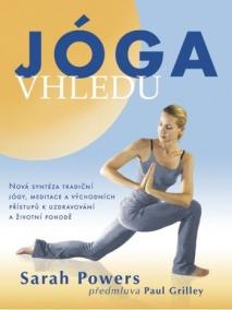 Jóga vhledu - Nová syntéza tradiční jógy, meditace a východních přístupů k uzdravování a životní pohodě
