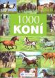 1000 koní