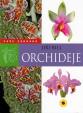 Orchideje - Vaše zahrada
