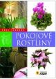 Pokojové rostliny - Vaše zahrada