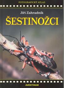 Šestinožci