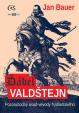 Ďábel Valdštejn - Pozoruhodný osud vévody frýdlantského
