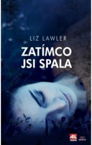 Zatímco jsi spala