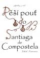 Zápisky z cest - Pěší pouť do Santiaga de Compostela