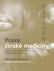 Praxe čínské medicíny – Léčba onemocnění pomocí akupunktury a čínských léčivých směsí