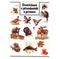 Živočichové v přirodovědě a prvouce