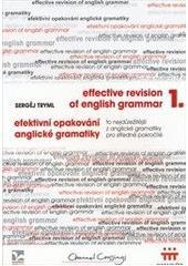 Efektivní opakování anglické gramatiky