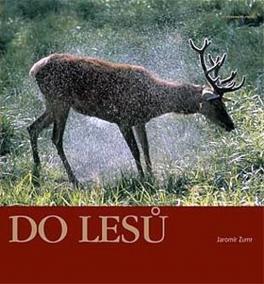 Do lesů