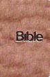 BIBLE překlad 21. století - hnědá