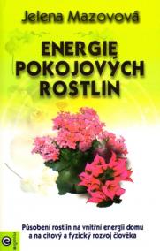 Energie pokojových rostlin