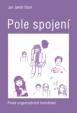 Pole spojení - Praxe organizačních konstelací