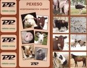 Pexeso - Hospodárskych zvierat